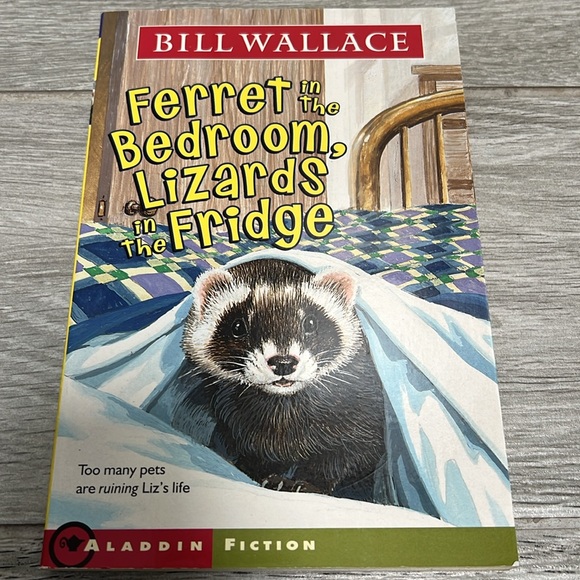 15 Chapter Books - Picture 7 of 16